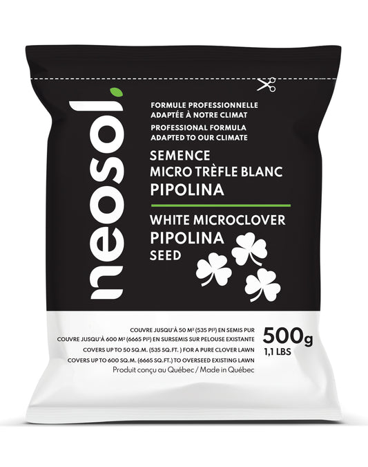 Semences à trèfle blanc micro pipolina